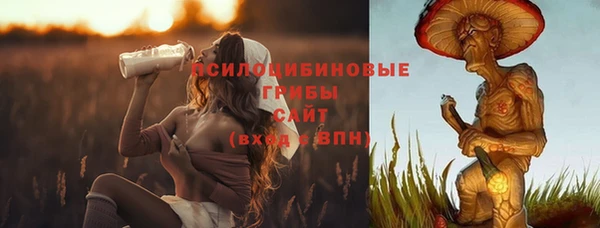 гидра Беломорск